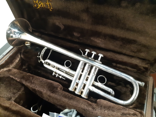 Gear Hunter | Bach - LT180S-77 Pro Trumpet